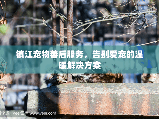 镇江宠物善后服务,告别爱宠的温暖解决方案 镇江宠物善后服务,告别爱宠的温暖解决方案