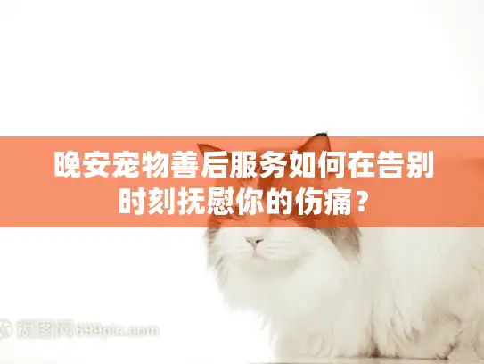 晚安宠物善后服务如何在告别时刻抚慰你的伤痛? 晚安宠物善后服务如何在告别时刻抚慰你的伤痛?