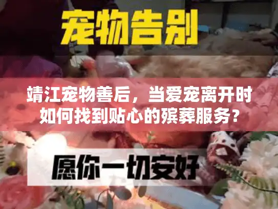 靖江宠物善后，当爱宠离开时如何找到贴心的殡葬服务？