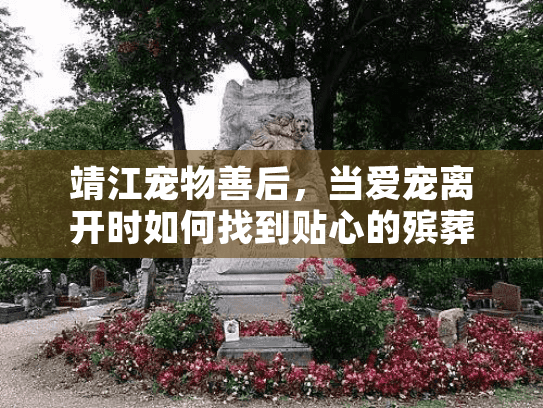 靖江宠物善后，当爱宠离开时如何找到贴心的殡葬服务？