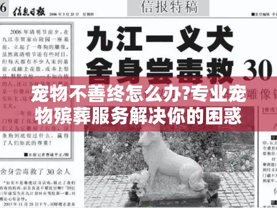 宠物不善终怎么办?专业宠物殡葬服务解决你的困惑