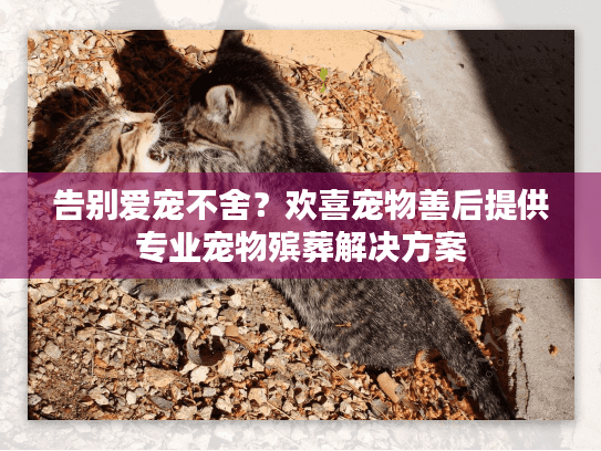 告别爱宠不舍？欢喜宠物善后提供专业宠物殡葬解决方案