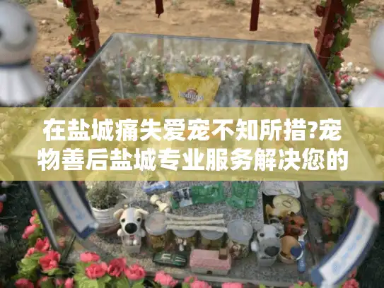 在盐城痛失爱宠不知所措?宠物善后盐城专业服务解决您的难题 在盐城痛失爱宠不知所措?宠物善后盐城专业服务解决您的难题