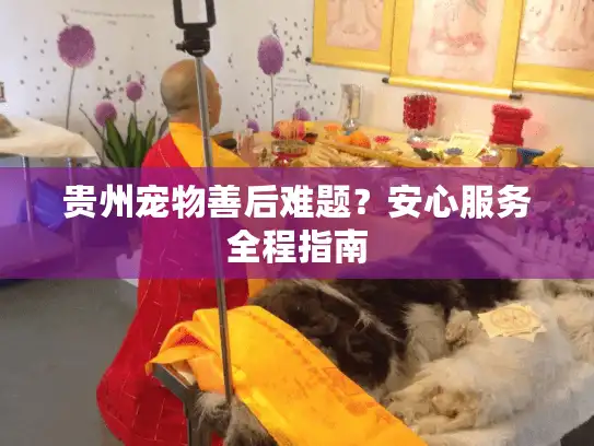 贵州宠物善后难题？安心服务全程指南