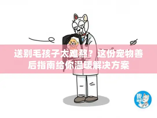 送别毛孩子太难熬？这份宠物善后指南给你温暖解决方案