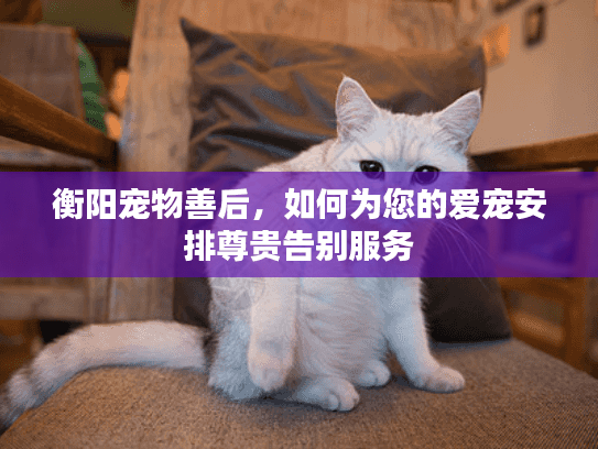 衡阳宠物善后，如何为您的爱宠安排尊贵告别服务