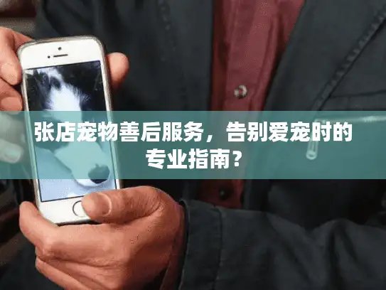 张店宠物善后服务，告别爱宠时的专业指南？
