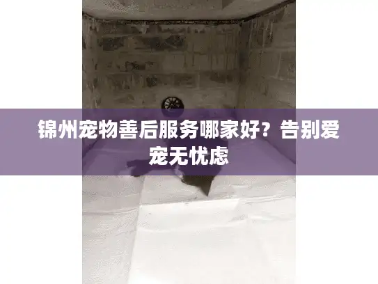 锦州宠物善后服务哪家好？告别爱宠无忧虑