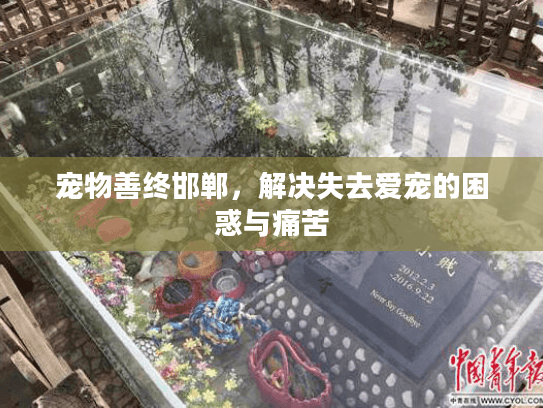 宠物善终邯郸,解决失去爱宠的困惑与痛苦 宠物善终邯郸,解决失去爱宠的困惑与痛苦