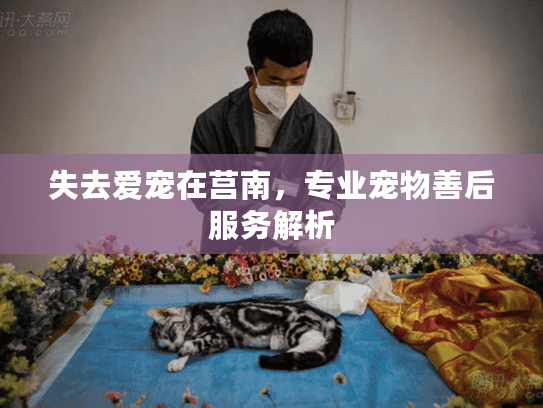 失去爱宠在莒南,专业宠物善后服务解析 失去爱宠在莒南,专业宠物善后服务解析