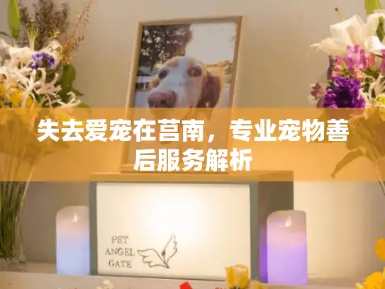 失去爱宠在莒南,专业宠物善后服务解析 失去爱宠在莒南,专业宠物善后服务解析