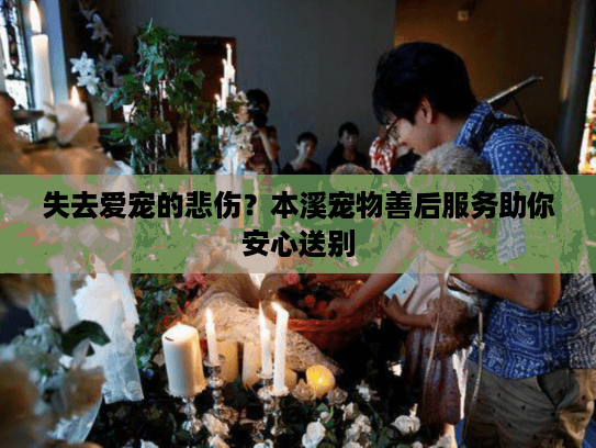 失去爱宠的悲伤？本溪宠物善后服务助你安心送别