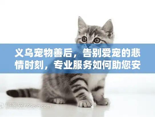 义乌宠物善后，告别爱宠的悲情时刻，专业服务如何助您安心