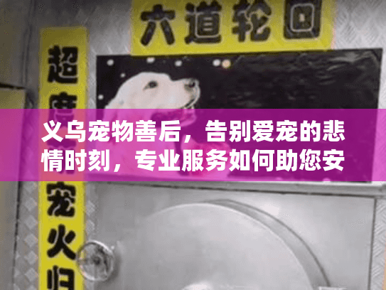 义乌宠物善后，告别爱宠的悲情时刻，专业服务如何助您安心