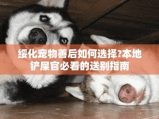绥化宠物善后如何选择?本地铲屎官必看的送别指南