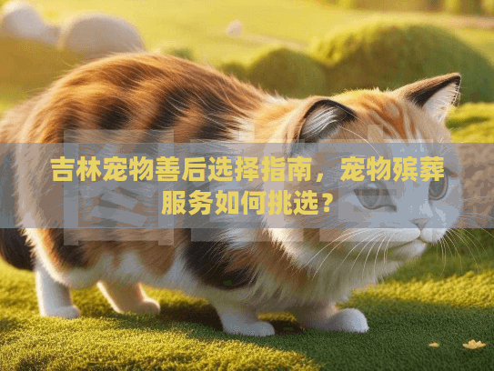 吉林宠物善后选择指南，宠物殡葬服务如何挑选？