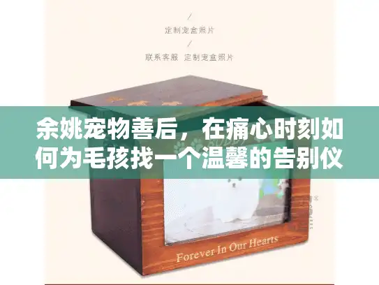 余姚宠物善后，在痛心时刻如何为毛孩找一个温馨的告别仪式？
