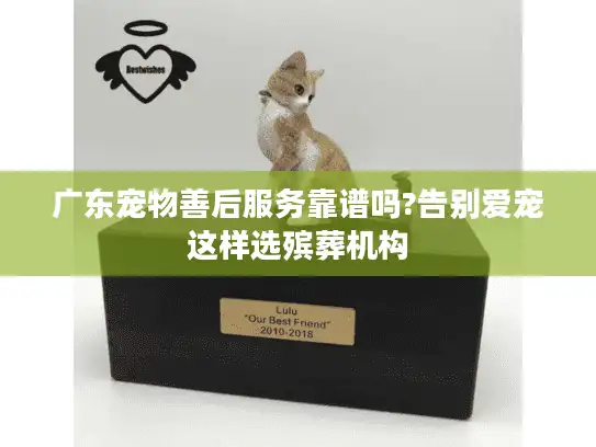广东宠物善后服务靠谱吗?告别爱宠这样选殡葬机构