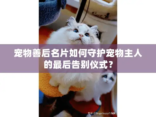 宠物善后名片如何守护宠物主人的最后告别仪式? 宠物善后名片如何守护宠物主人的最后告别仪式?