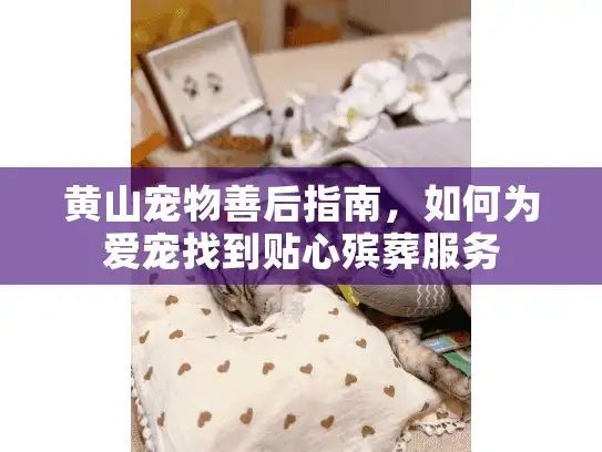 黄山宠物善后指南,如何为爱宠找到贴心殡葬服务 黄山宠物善后指南,如何为爱宠找到贴心殡葬服务