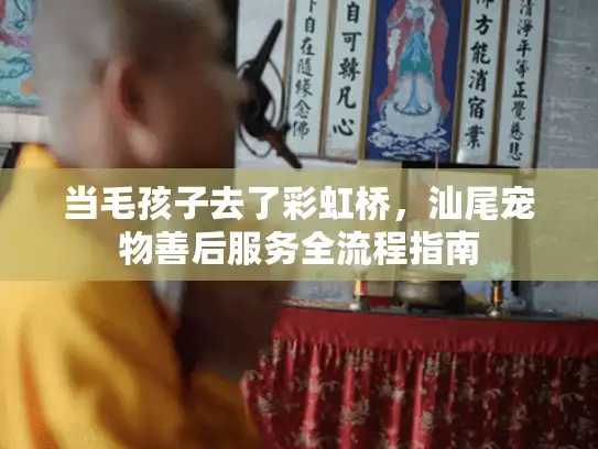 当毛孩子去了彩虹桥，汕尾宠物善后服务全流程指南