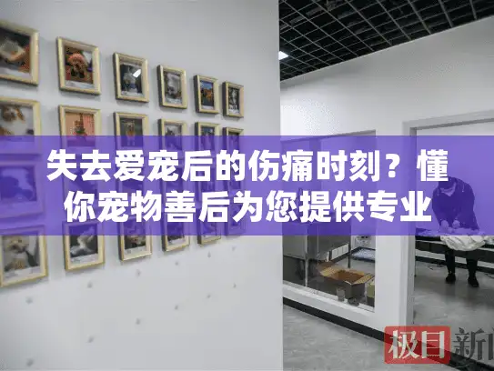 失去爱宠后的伤痛时刻?懂你宠物善后为您提供专业宠物殡葬服务 失去爱宠后的伤痛时刻?懂你宠物善后为您提供专业宠物殡葬服务