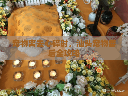 宠物离去心碎时，汕头宠物善后全攻略