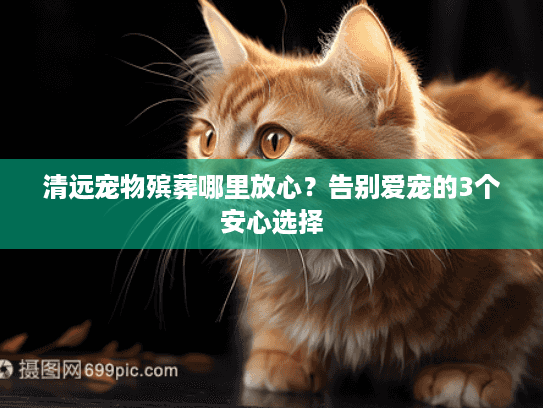 清远宠物殡葬哪里放心？告别爱宠的3个安心选择