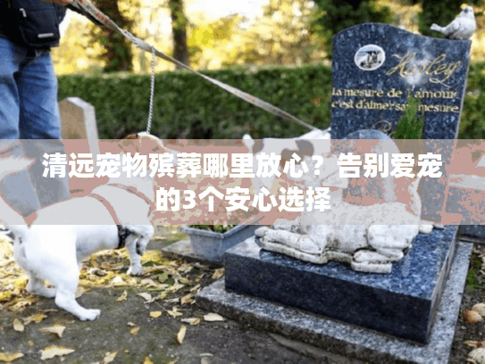 清远宠物殡葬哪里放心？告别爱宠的3个安心选择