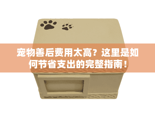 宠物善后费用太高？这里是如何节省支出的完整指南！