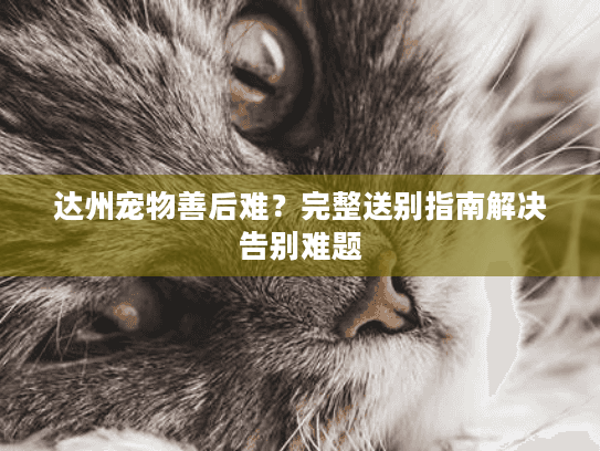 达州宠物善后难?完整送别指南解决告别难题 达州宠物善后难?完整送别指南解决告别难题