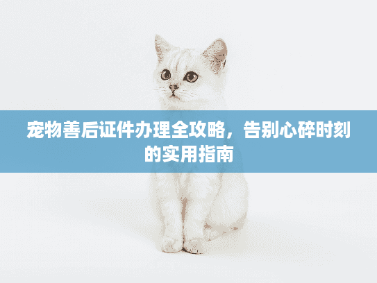 宠物善后证件办理全攻略,告别心碎时刻的实用指南 宠物善后证件办理全攻略,告别心碎时刻的实用指南