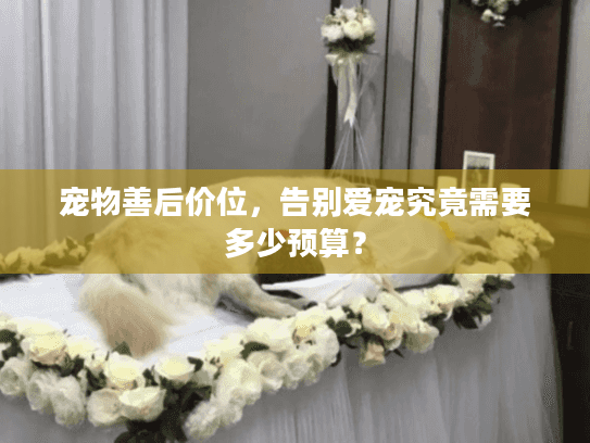 宠物善后价位，告别爱宠究竟需要多少预算？
