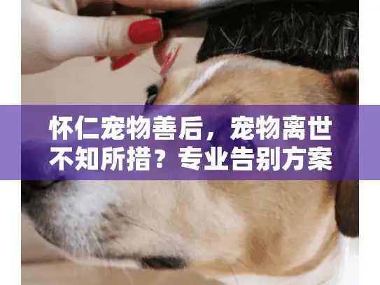 怀仁宠物善后，宠物离世不知所措？专业告别方案助你安心送别！