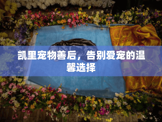 凯里宠物善后,告别爱宠的温馨选择 凯里宠物善后,告别爱宠的温馨选择