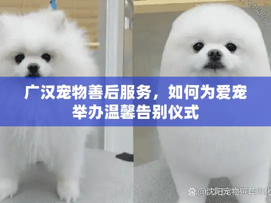 广汉宠物善后服务，如何为爱宠举办温馨告别仪式