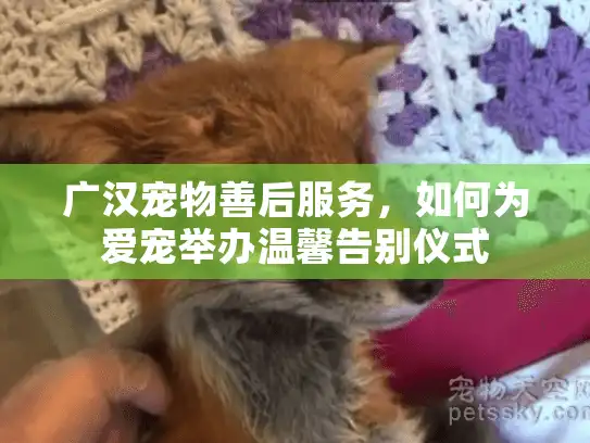 广汉宠物善后服务，如何为爱宠举办温馨告别仪式