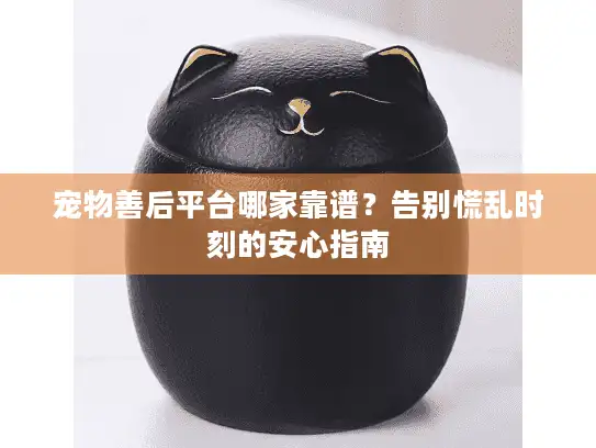 宠物善后平台哪家靠谱？告别慌乱时刻的安心指南