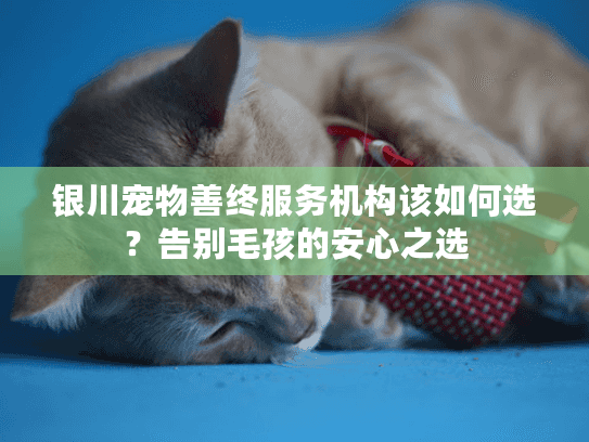 银川宠物善终服务机构该如何选？告别毛孩的安心之选