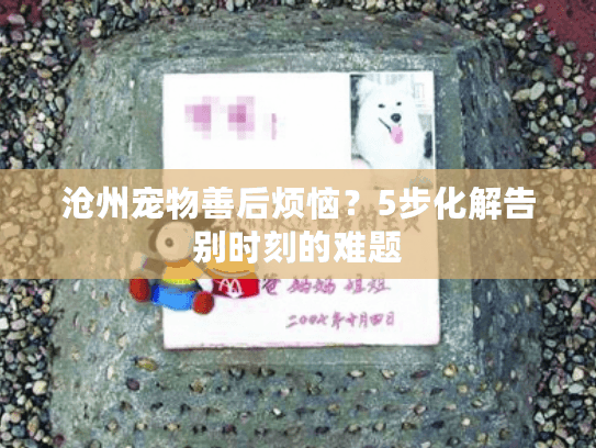 沧州宠物善后烦恼？5步化解告别时刻的难题