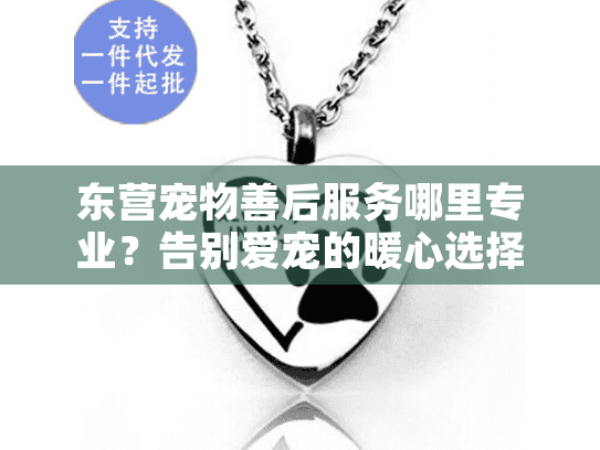 东营宠物善后服务哪里专业？告别爱宠的暖心选择