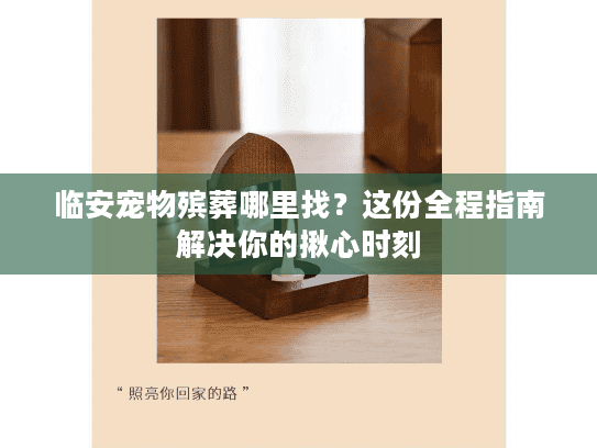 临安宠物殡葬哪里找？这份全程指南解决你的揪心时刻