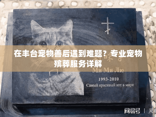 在丰台宠物善后遇到难题？专业宠物殡葬服务详解