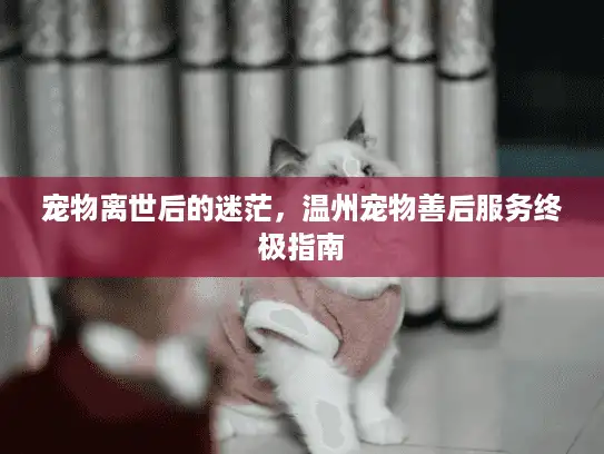 宠物离世后的迷茫,温州宠物善后服务终极指南 宠物离世后的迷茫,温州宠物善后服务终极指南