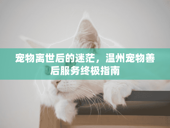 宠物离世后的迷茫,温州宠物善后服务终极指南 宠物离世后的迷茫,温州宠物善后服务终极指南