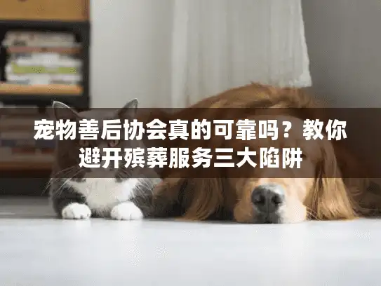 宠物善后协会真的可靠吗？教你避开殡葬服务三大陷阱