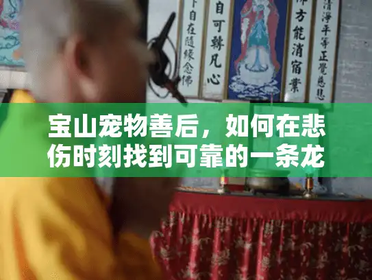 宝山宠物善后，如何在悲伤时刻找到可靠的一条龙服务