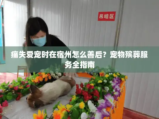 痛失爱宠时在宿州怎么善后？宠物殡葬服务全指南