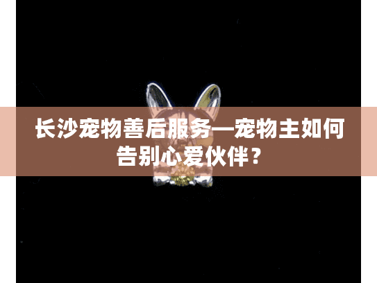 长沙宠物善后服务—宠物主如何告别心爱伙伴？