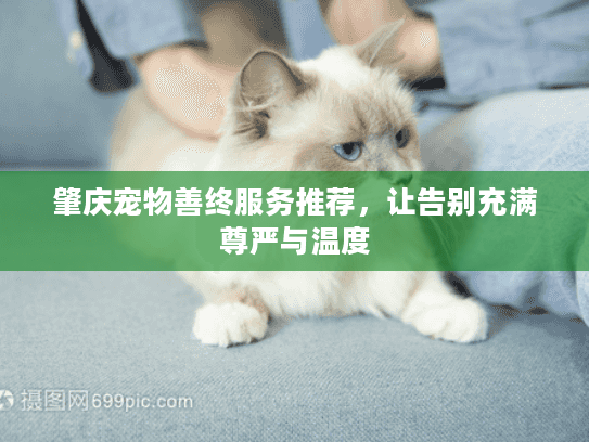 肇庆宠物善终服务推荐，让告别充满尊严与温度